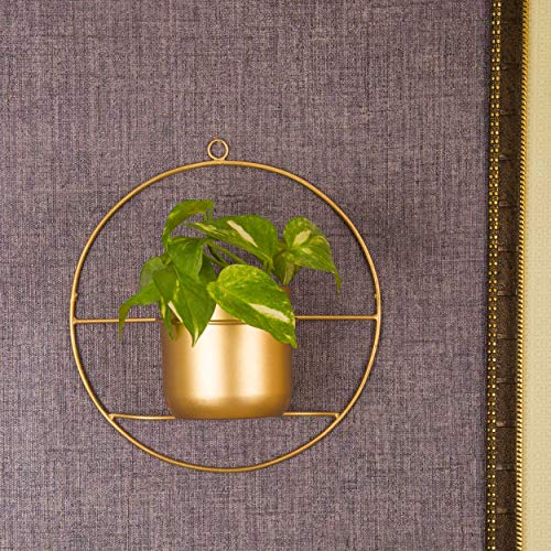 Wall Hanging Metal Planter Pots For Plants Indoor